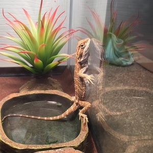 Meet your Posher, Karlee